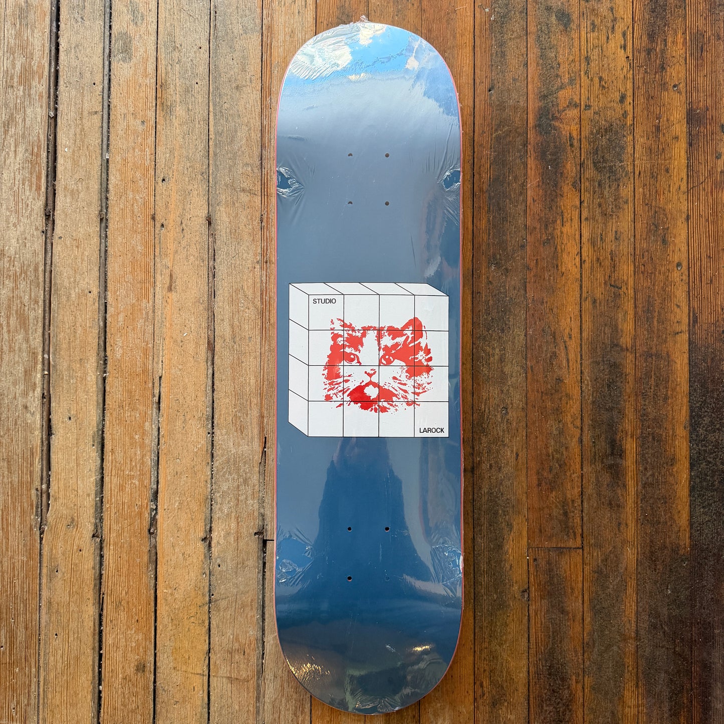 Studio - Joey Larock Cat in Cube 8.375" Deck