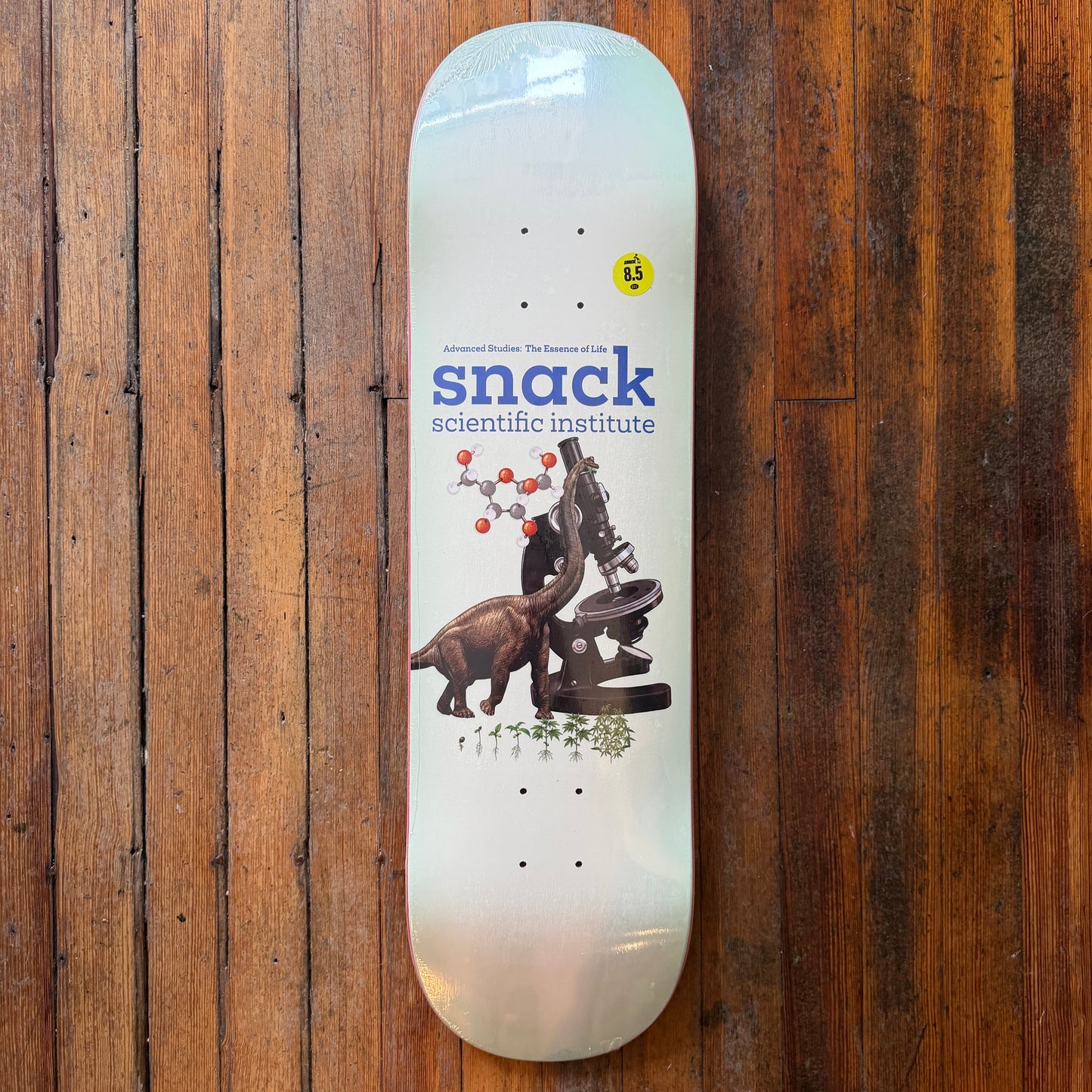 Snack - Team Scientific Institute 8.5" Deck