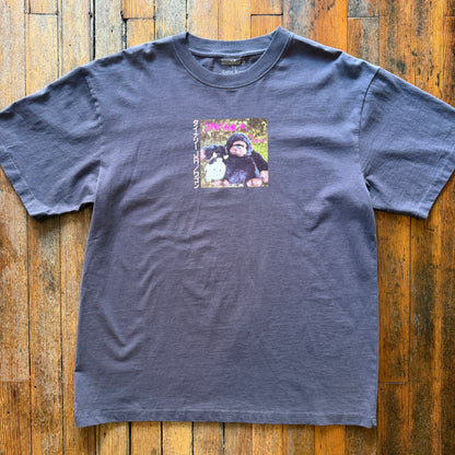 Color Bars - Dinosaur Jr. Import Navy Tshirt
