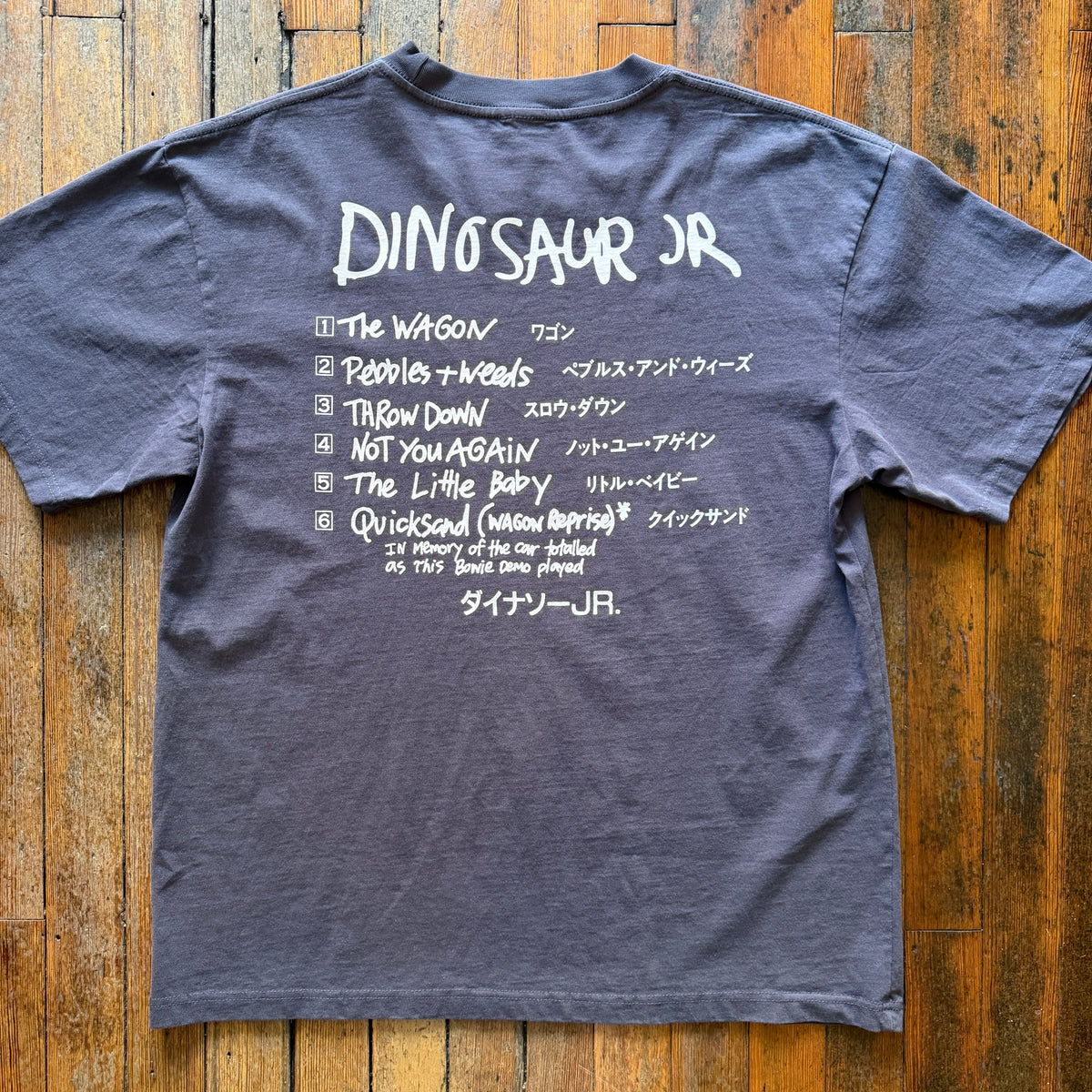 Color Bars - Dinosaur Jr. Import Navy Tshirt