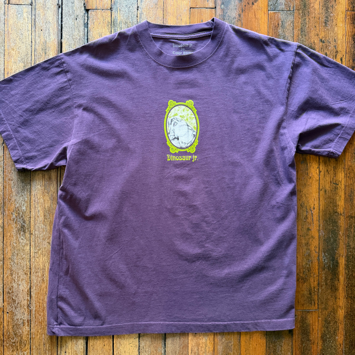 Color Bars - Dinosaur Jr. All Over Me Purple Tshirt