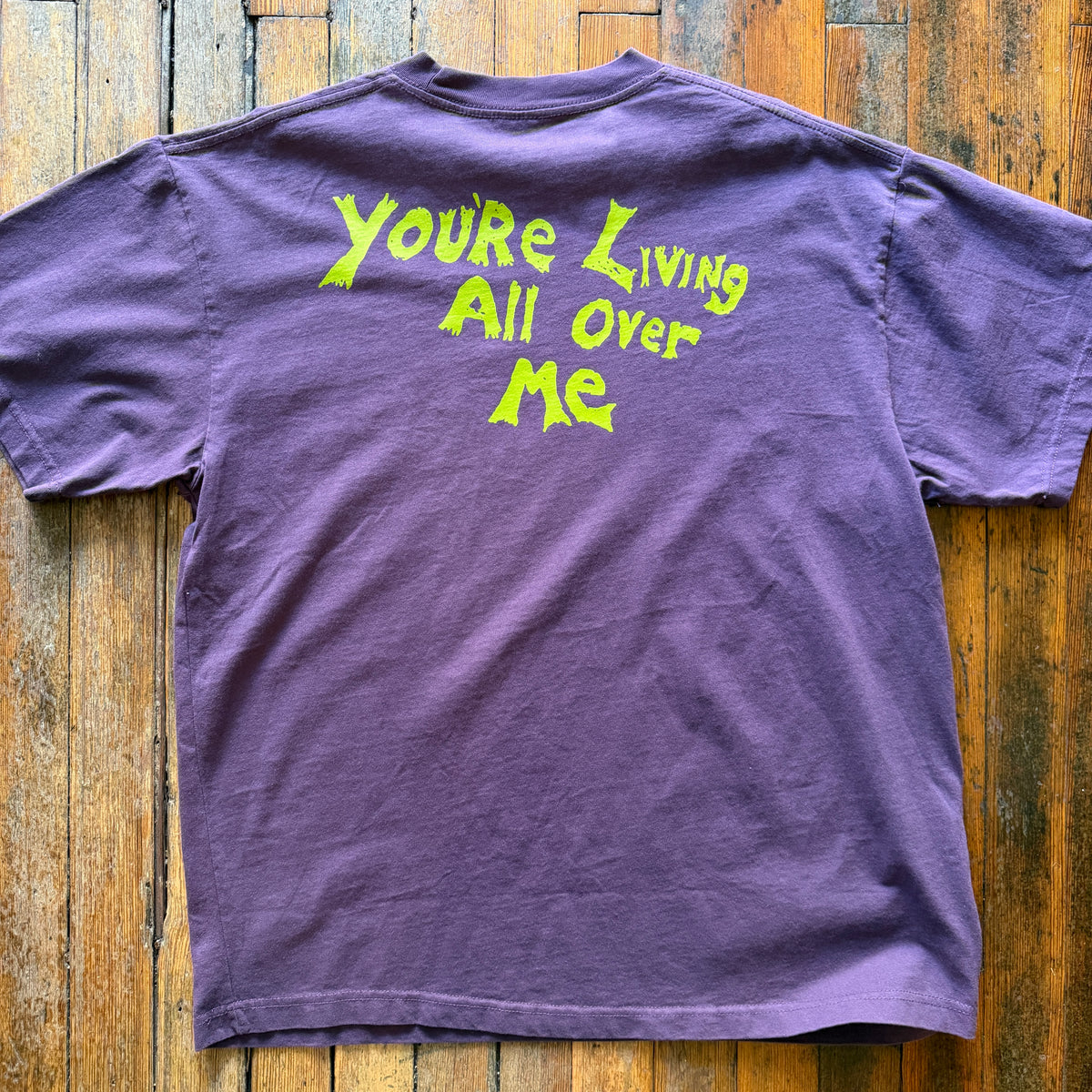Color Bars - Dinosaur Jr. All Over Me Purple Tshirt