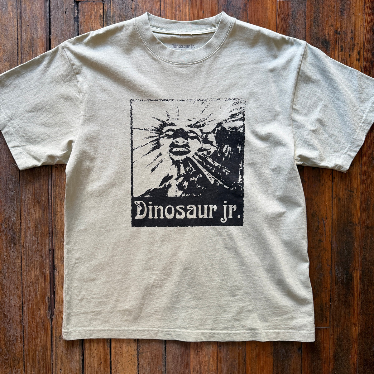 Color Bars - Dinosaur Jr. Sun Sage Tshirt