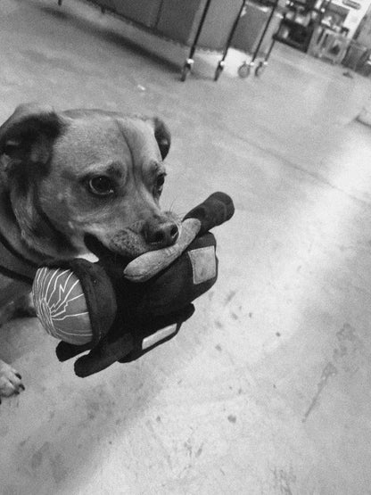 WKND - HPX Dog Toy Plushie